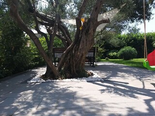 Appartement Kastel Stafilic Buitenaudio-opname 11