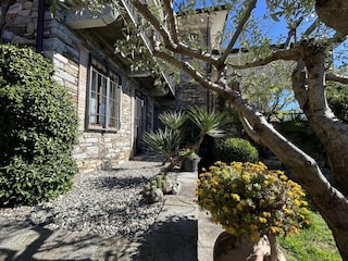 Villa Oggebbio Außenaufnahme 17