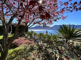 Villa Oggebbio Außenaufnahme 18