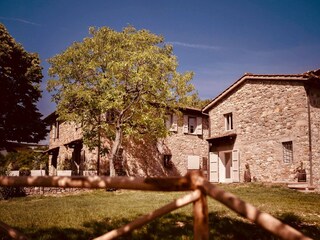 Villa Poppi Buitenaudio-opname 5