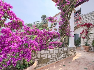 Villa Massa Lubrense Außenaufnahme 3