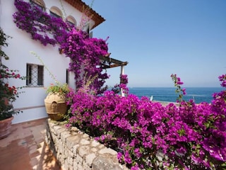 Villa Massa Lubrense Außenaufnahme 29