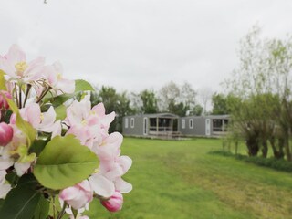 Vakantiehuis Heeg Buitenaudio-opname 8