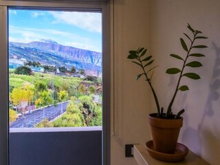 Apartment La Orotava  10