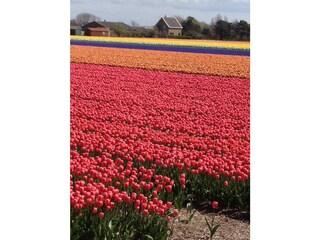 Ferienwohnung Egmond aan Zee Umgebung 14