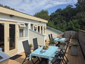 Ferienwohnung Het Robbebos