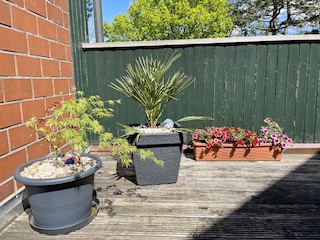 Vakantieappartement Dangast Buitenaudio-opname 4