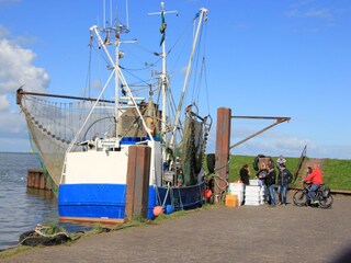 Appartement de vacances Dangast Environnement 24