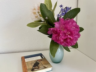 Vakantieappartement Dangast Kenmerken 17