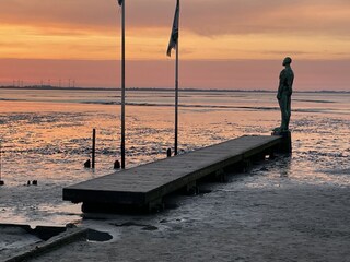 Vakantieappartement Dangast Omgeving 29