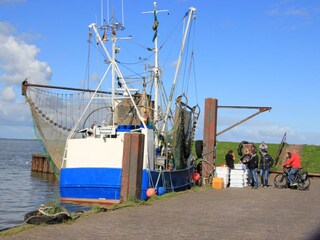 Kutter am Hafen