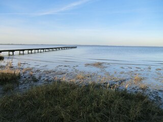 Vakantieappartement Dangast Omgeving 27