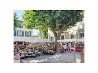 Markt in Plan de la Tour