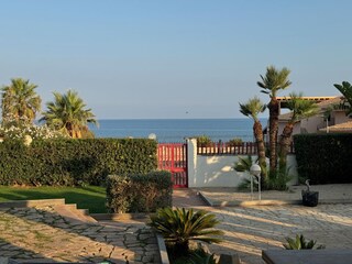 Palmen, Meer & Sonne.