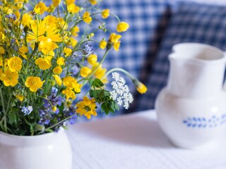 Appartamento per vacanze Nußdorf am Attersee Caratteristiche 25