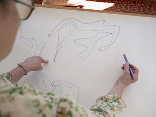 Holiday apartment Nußdorf am Attersee Outdoor Recording 13