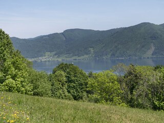 Holiday apartment Nußdorf am Attersee Outdoor Recording 16