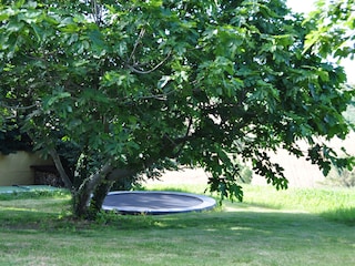 Trampoline