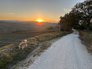 Road to the villa