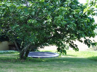 Trampoline