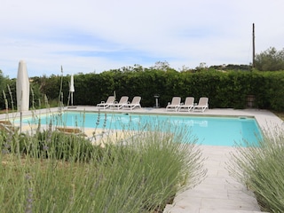 Pool 6 x 12 m