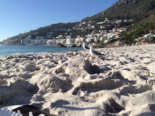 Clifton Beach