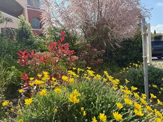 Casa per le vacanze Roquebrune-sur-Argens Registrazione all'aperto 19