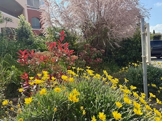 Vakantiehuis Roquebrune-sur-Argens Buitenaudio-opname 19