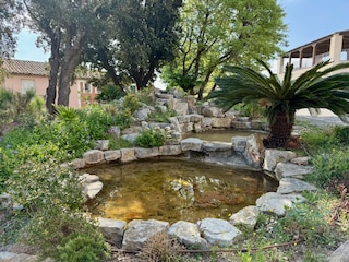 Ferienhaus Roquebrune-sur-Argens Außenaufnahme 20