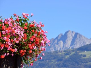 Balkon mit Blick zum Ifinger