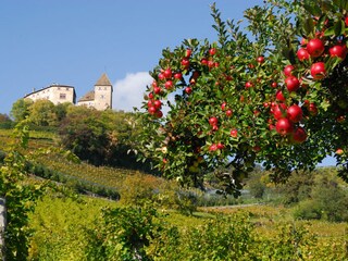 Appartamento per vacanze Tisens Ambiente 20