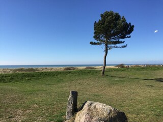 Fossilien sammeln am Püttsee-Strand