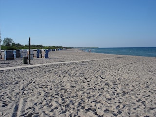 Strandkörbe zum Mieten