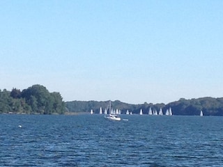 die Schlei