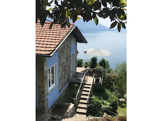 Haus