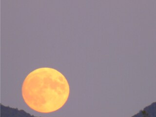Night of a full moon