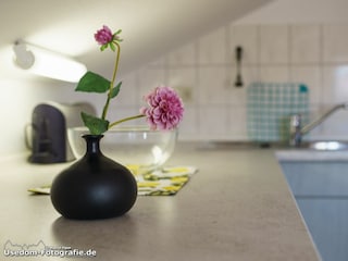 Ferienwohnung Ahlbeck (Usedom) Außenaufnahme 6
