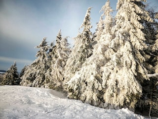 Sinntal im Winter