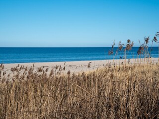 Für weite Spaziergänge am Strand