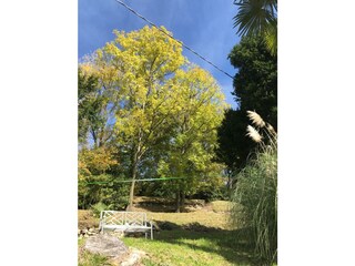 Holiday apartment Trarego Viggiona Outdoor Recording 4