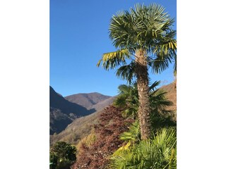 Holiday apartment Trarego Viggiona Outdoor Recording 10