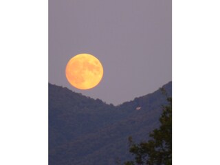 Night of a full moon