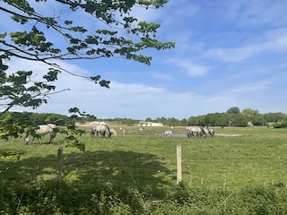 Naturschutzgebiet