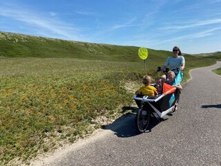 Ferienwohnung Julianadorp Umgebung 13
