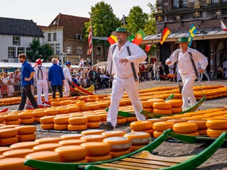 Kaasmarkt in Alkmaar