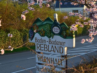 Mandelblüte Varnhalt