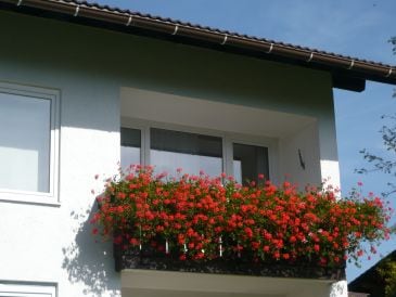 Holiday apartment Lisa mit Hallenbad