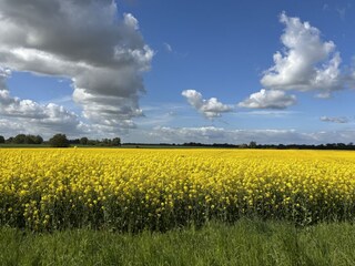 Wunderschönes weites Land