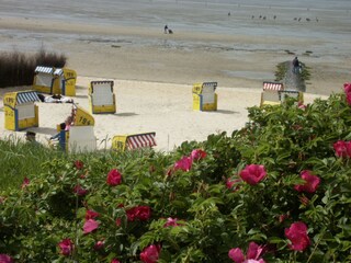 Ferienwohnung Duhnen Umgebung 27