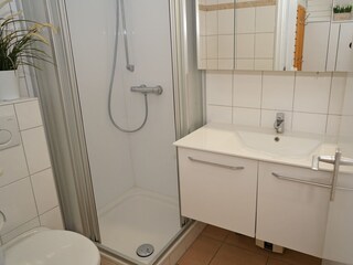 Holiday house Damp Features 18